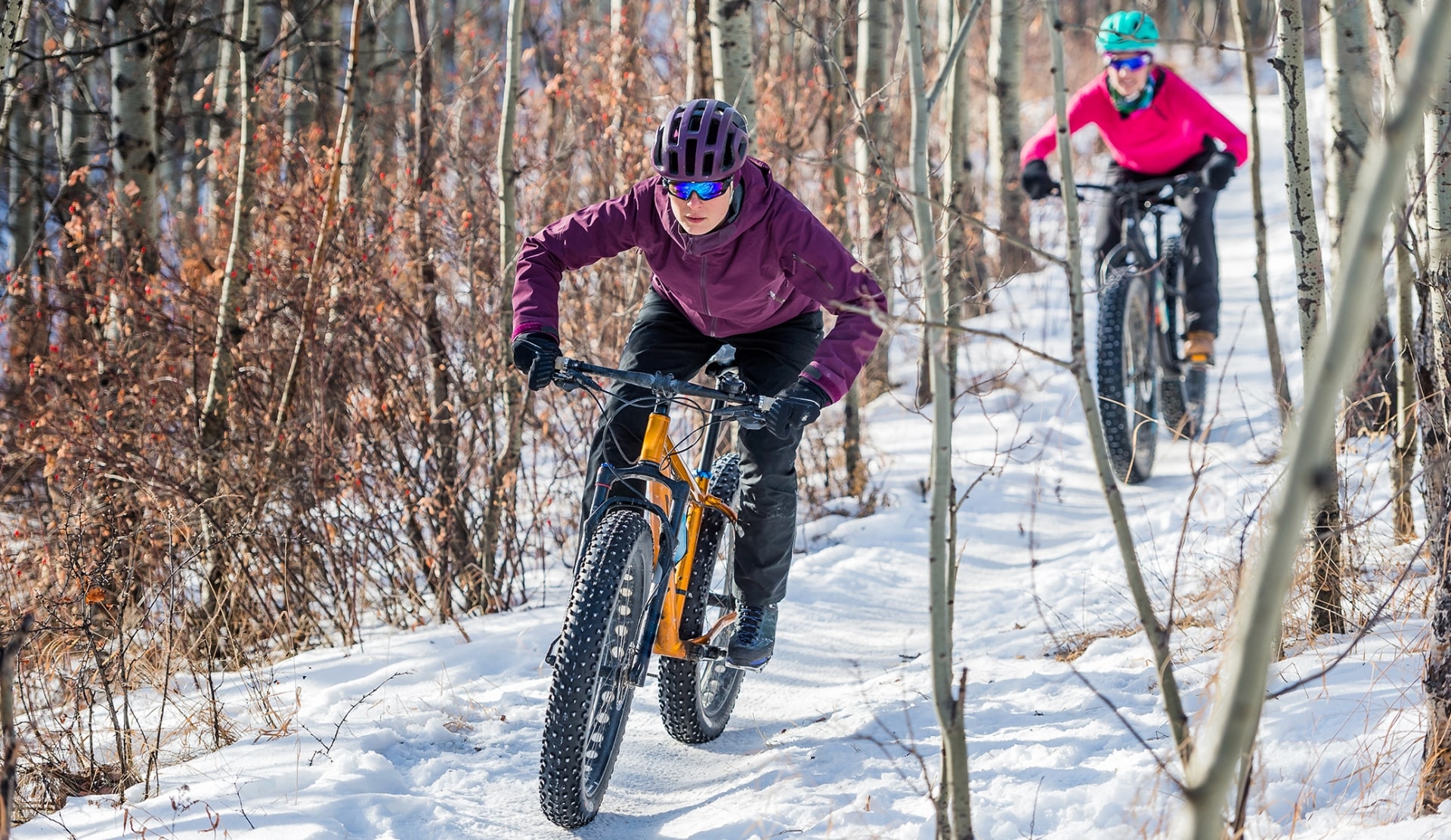Experience the Best of Both Worlds with Sno-Go Bikes at The Highlands